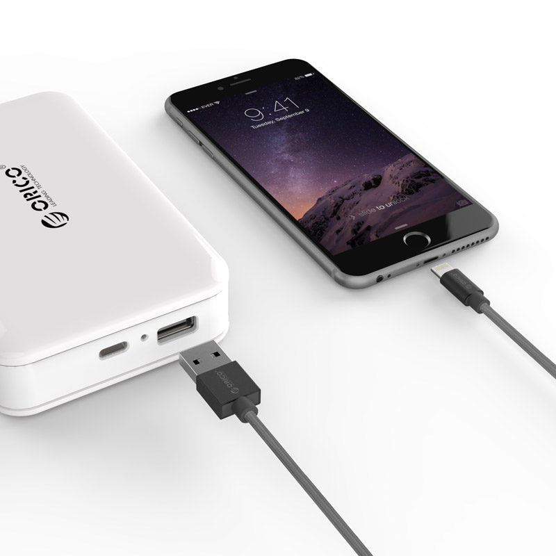 Кабель для Apple (ORICO LTF-10)