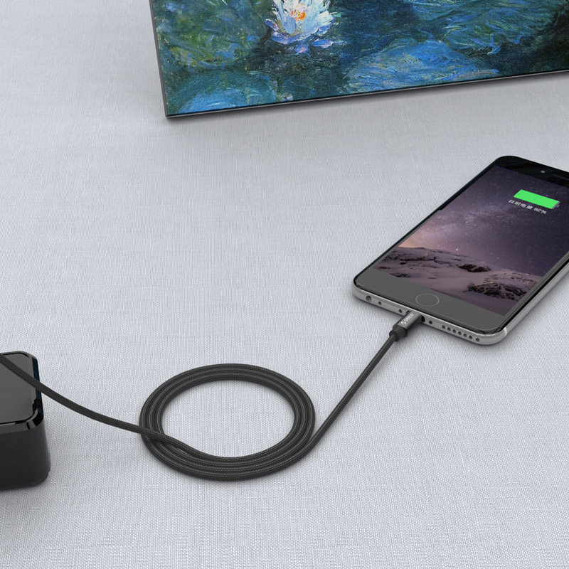 Кабель для Apple (ORICO LTF-10)