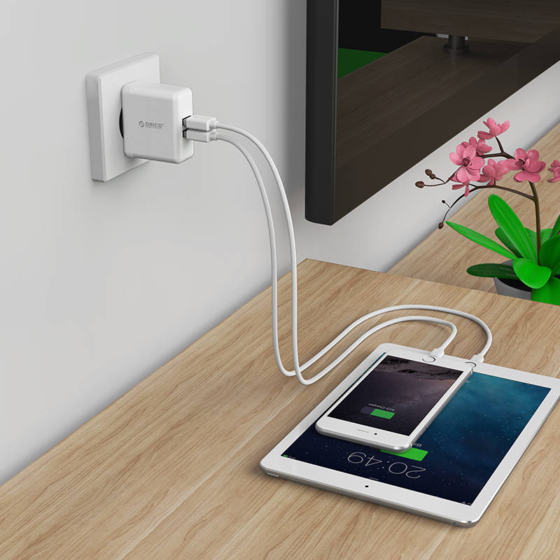 Зарядний пристрій на 2 USB порта (ORICO WHC-2U)